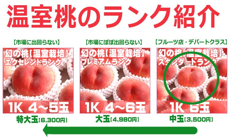 温室桃ランク紹介