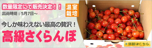 ��餵���������Τ�