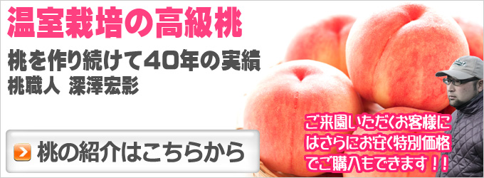 桃の通販紹介