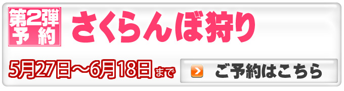 さくらんぼ狩り予約へ