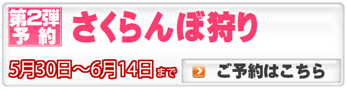 さくらんぼ狩り予約へ