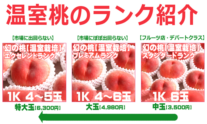 山梨県産地直送桃通販1