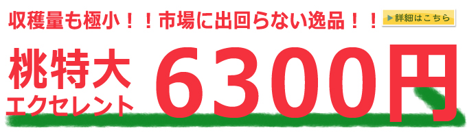 エクセレントランク山梨県産地直送桃