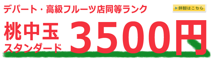 スタンダードランク山梨県産地直送桃