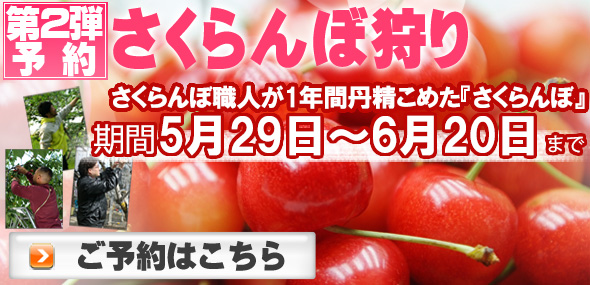 さくらんぼ狩り 果物販売なら山梨県南アルプス市のバウアーズ