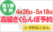 高級さくらんぼ狩り予約