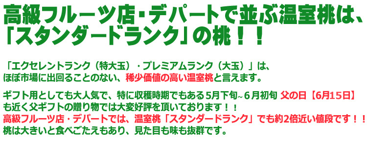 温室桃ランク紹介