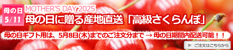 母の日の贈り物へ