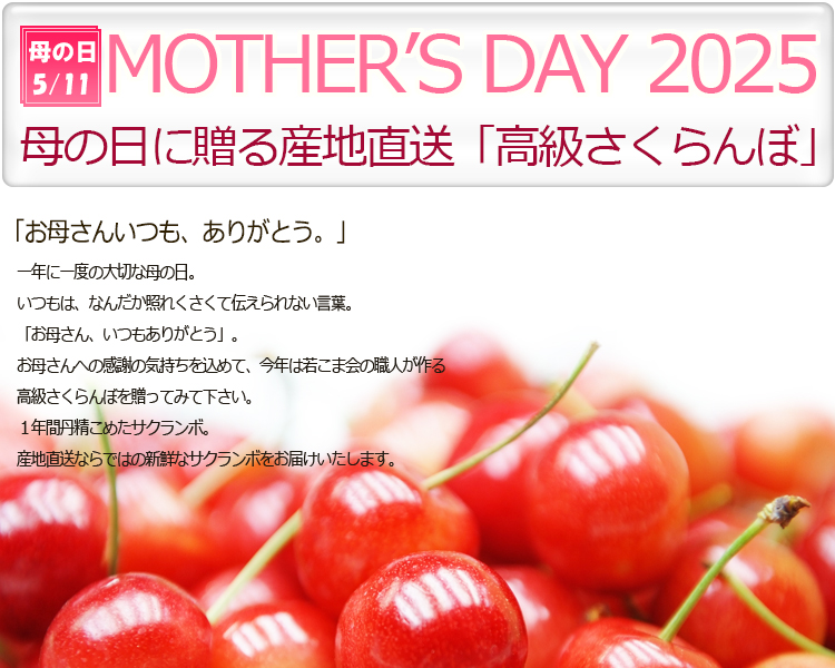 母の日さくらんぼ通販
