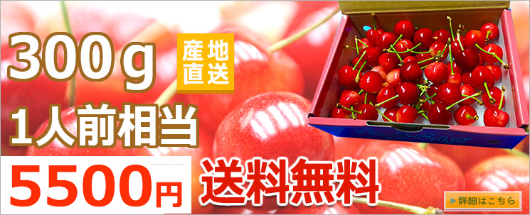 300g高級さくらんぼの贈り物へ