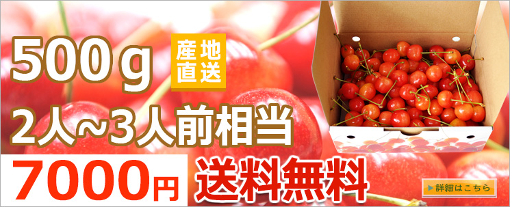 500g高級さくらんぼの贈り物へ