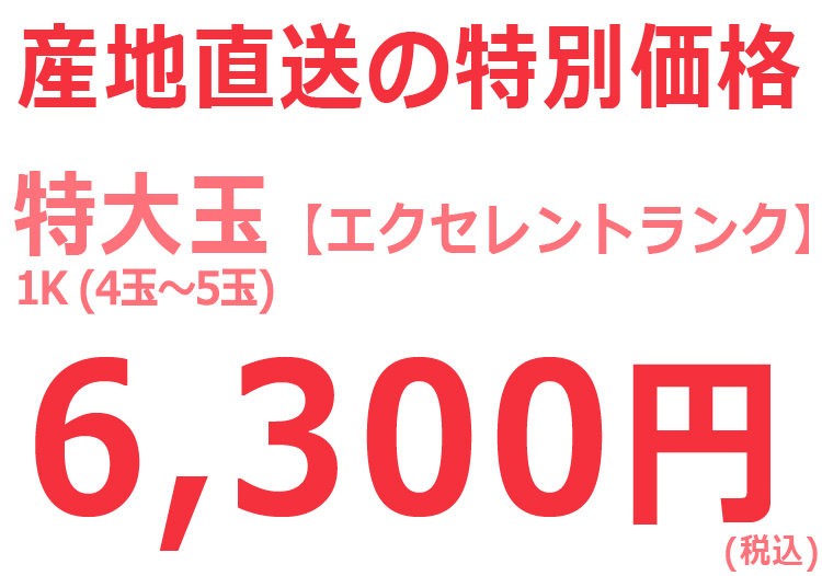 温室最上級ランク桃02