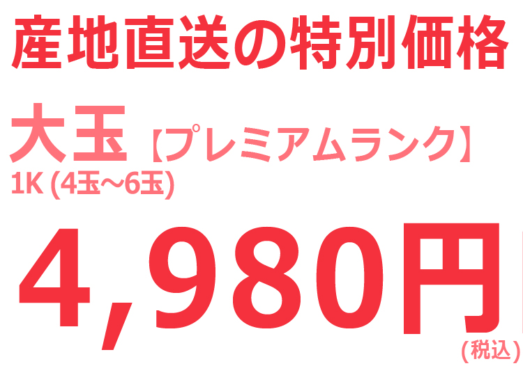 温室最上級ランク桃02