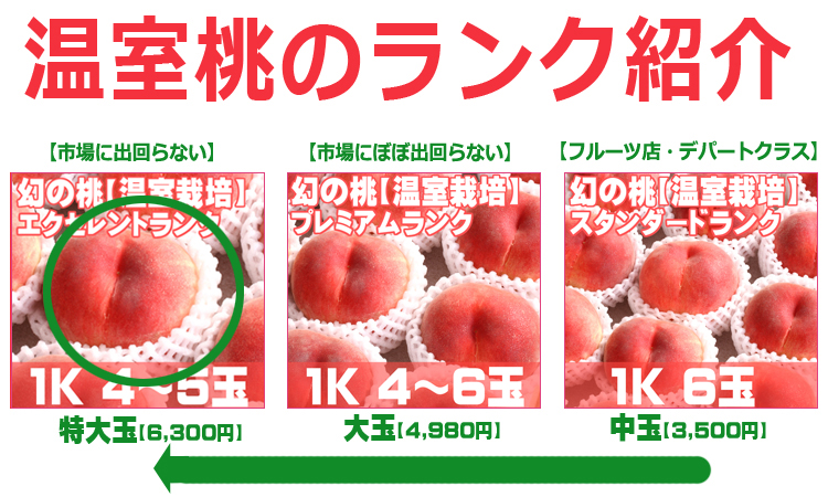 温室桃ランク紹介
