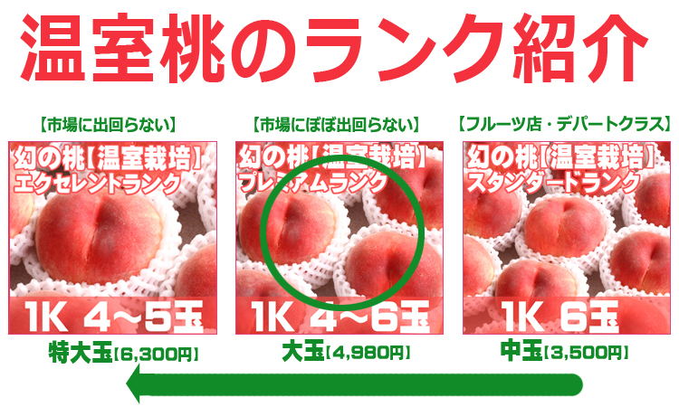 温室桃ランク紹介