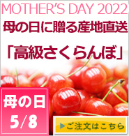 母の日さくらんぼ通販
