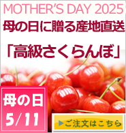 母の日さくらんぼ通販