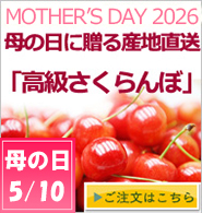 母の日さくらんぼ通販