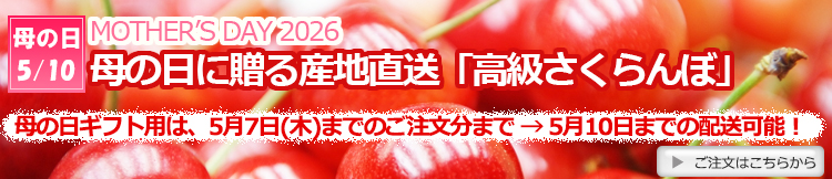 母の日の贈り物へ